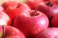 青森県産　高糖度リンゴ　約３キロ　９～１０玉
